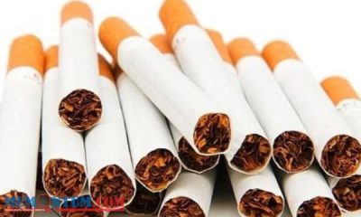 Tarif Cukai Rokok di Pamekasan Mulai Sesuaikan Kenaikan 10 Persen