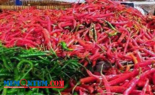 Cuaca Ekstrim Pengaruhi Harga Cabai Merah di Pamekasan